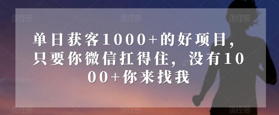 单日获客1000+的好项目，只要你微信扛得住，没有1000+你来找我【揭秘】-揽颜居工坊