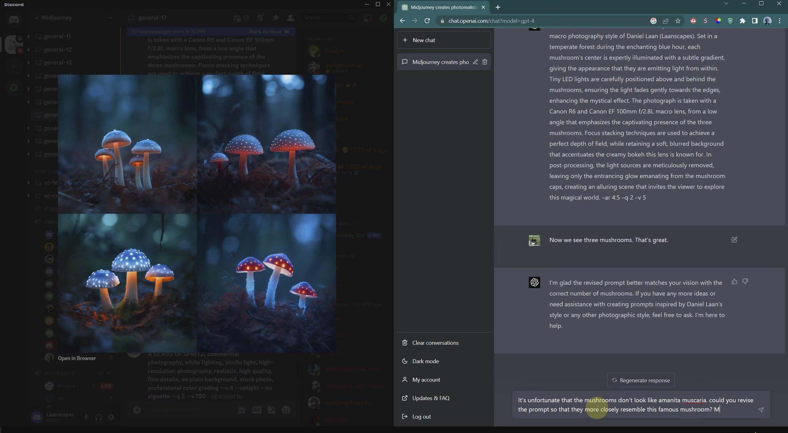 图片[4]-(8717期)摄影师 Daniel Laan 使用ChatGPT与Midjourney生成风光图像-中英字幕-揽颜居工坊