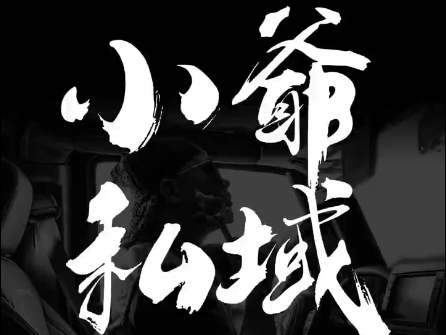 小爷·私域项目操盘手-揽颜居工坊