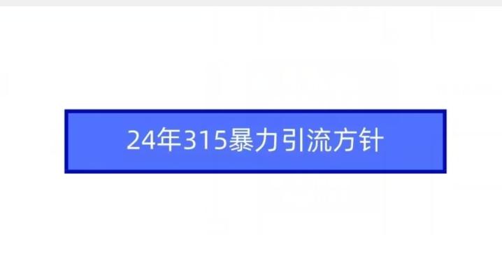 24年315暴力引流方针-揽颜居工坊