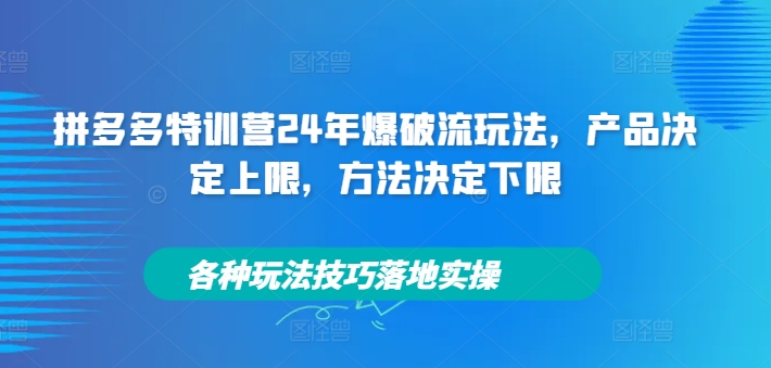 拼多多特训营24年爆破流玩法，产品决定上限，方法决定下限，各种玩法技巧落地实操-揽颜居工坊