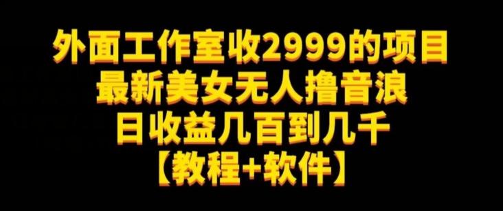 外面工作室收2999的项目最新美女无人撸音浪日收益几百到几千【教程+软件】（仅揭秘）-揽颜居工坊