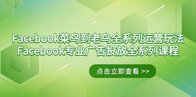 Facebook-菜鸟到老鸟全系列运营玩法+Facebook-专业广告投放全系列课程-揽颜居工坊