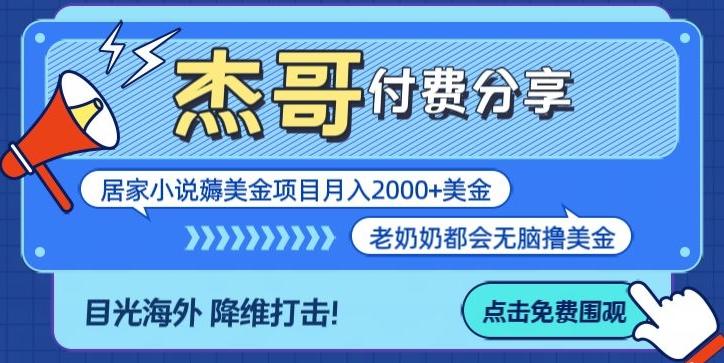 拆解海外撸美金项目月入2000美刀详细指导-揽颜居工坊