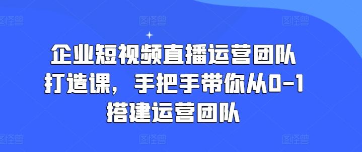 企业短视频直播运营团队打造课，手把手带你从0-1搭建运营团队-揽颜居工坊