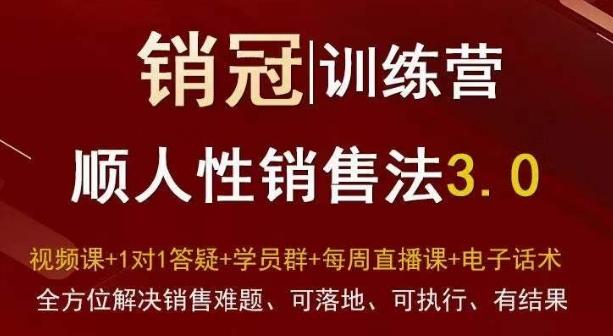 爆款！销冠训练营3.0之顺人性销售法，全方位解决销售难题、可落地、可执行、有结果-揽颜居工坊