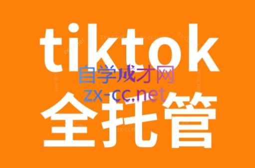 TikTok跨境电商全托管运营模式精品课-揽颜居工坊