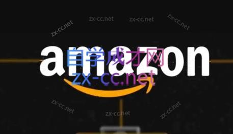 干干老师·亚马逊精细化广告详解-揽颜居工坊