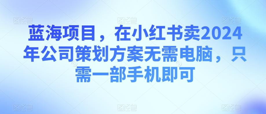 蓝海项目，在小红书卖2024年公司策划方案无需电脑，只需一部手机即可-揽颜居工坊
