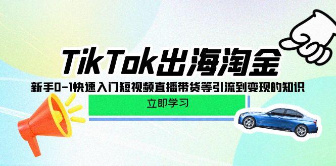 (10035期)TikTok-出海淘金，新手0-1快速入门短视频直播带货等引流到变现的知识-揽颜居工坊