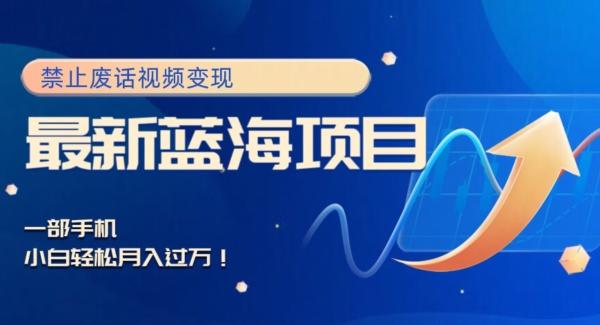 最新蓝海项目，靠禁止废话视频变现，一部手机，小白轻松月入过万！-揽颜居工坊