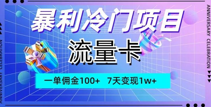 暴利冷门项目，流量卡，一单佣金100+，7天变现1w+-揽颜居工坊