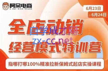 阿呆电商·全店动销经营模式特训营(线下录音+思维导图)-揽颜居工坊