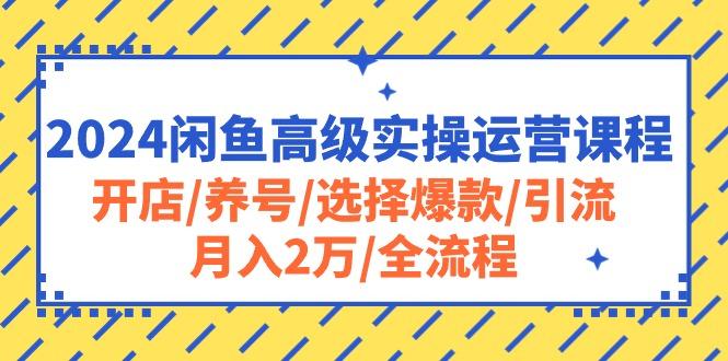2024闲鱼高级实操运营课程：开店/养号/选择爆款/引流/月入2万/全流程-揽颜居工坊