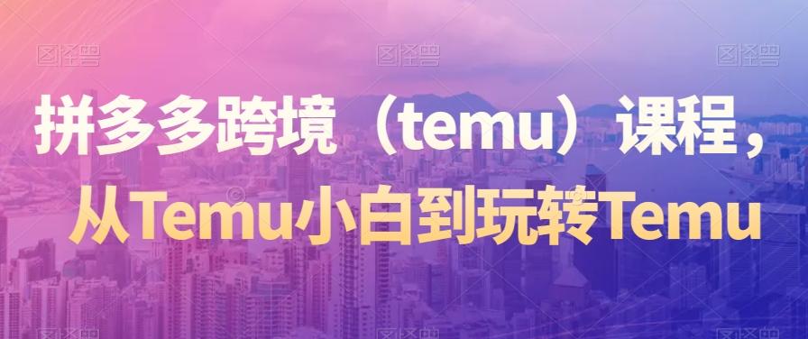 拼多多跨境（temu）课程，从Temu小白到玩转Temu-揽颜居工坊