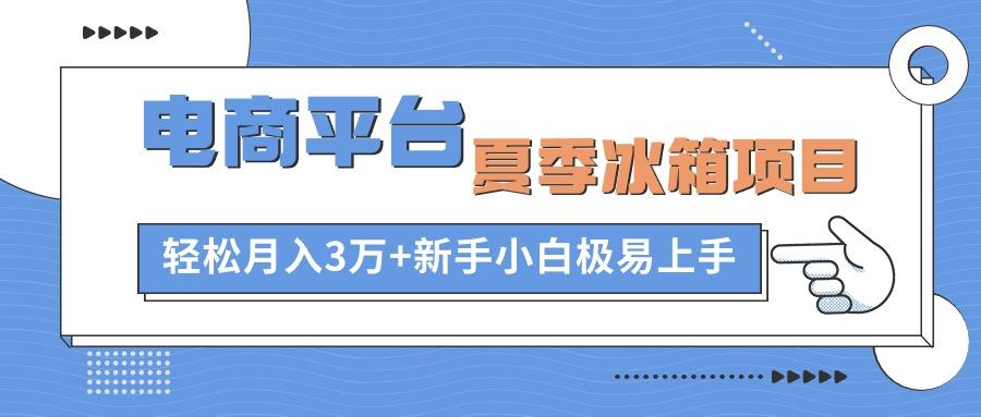 电商平台夏季冰箱项目，轻松月入3万+，新手小白极易上手-揽颜居工坊
