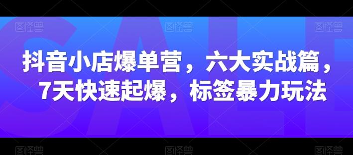 抖音小店爆单营，六大实战篇，7天快速起爆，标签暴力玩法-揽颜居工坊