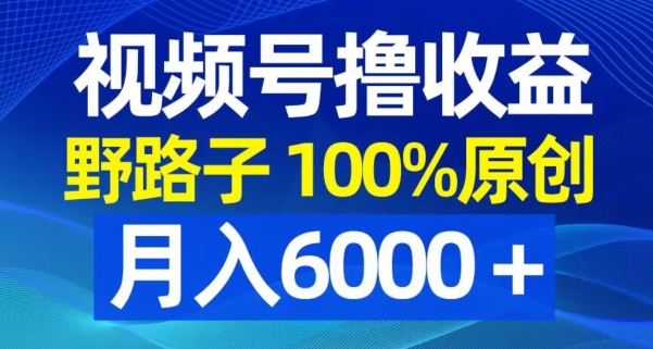 视频号野路子撸收益，100%原创，条条爆款，月入6000＋【揭秘】-揽颜居工坊