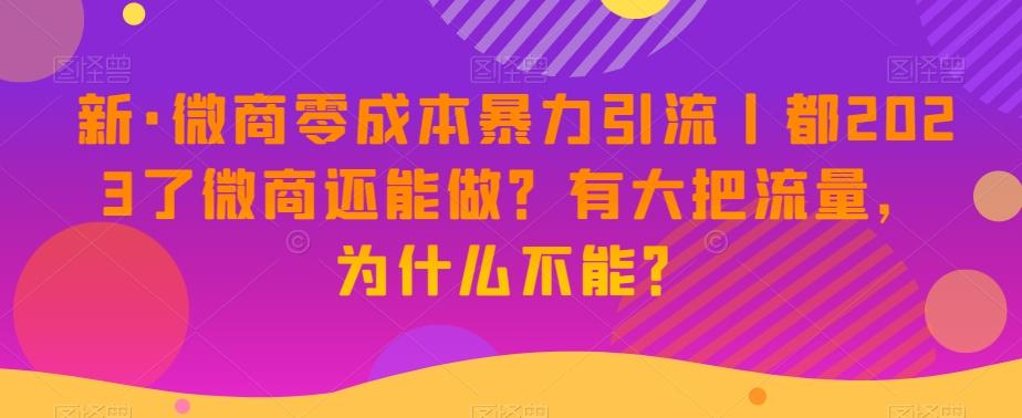 新·微商零成本暴力引流丨都2023了微商还能做？有大把流量，为什么不能？-揽颜居工坊