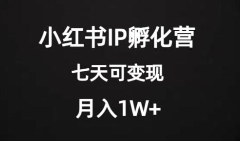 价值2000+的小红书IP孵化营项目,超级大蓝海,七天即可开始变现,稳定月入1W+-揽颜居工坊