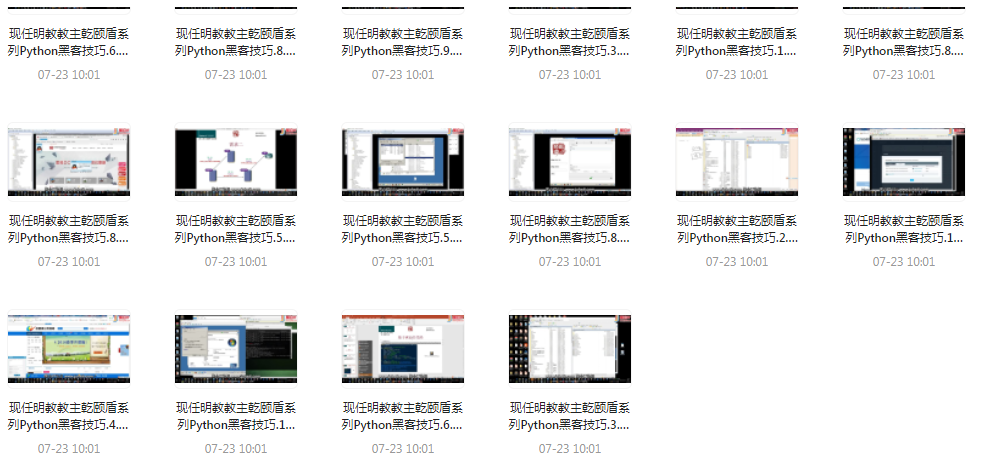Python黑客技巧课程-揽颜居工坊
