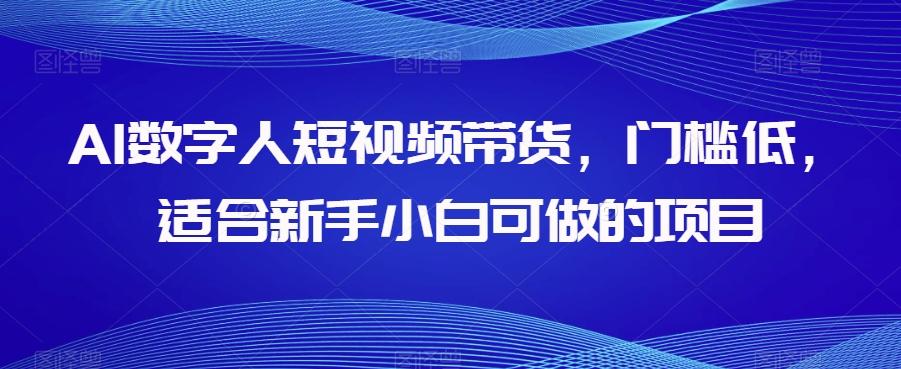 AI数字人短视频带货，门槛低，适合新手小白可做的项目-揽颜居工坊