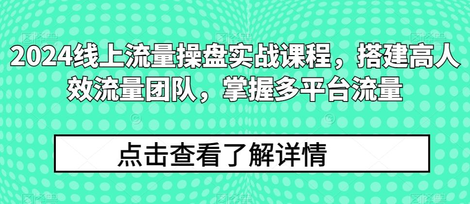 2024线上流量操盘实战课程，搭建高人效流量团队，掌握多平台流量-揽颜居工坊