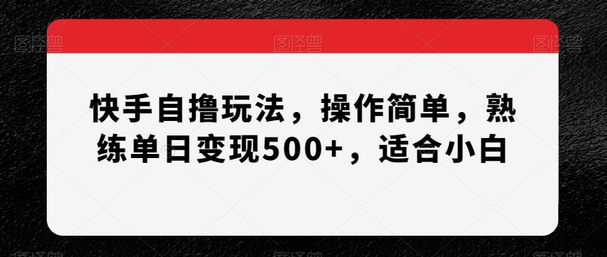 快手自撸玩法，操作简单，熟练单日变现500+，适合小白【揭秘】-揽颜居工坊