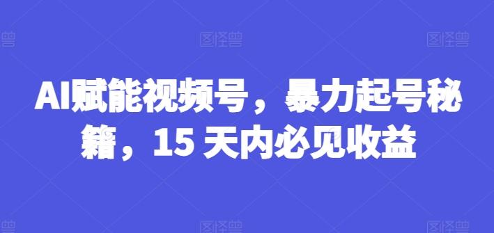 AI赋能视频号，暴力起号秘籍，15 天内必见收益【揭秘】-揽颜居工坊