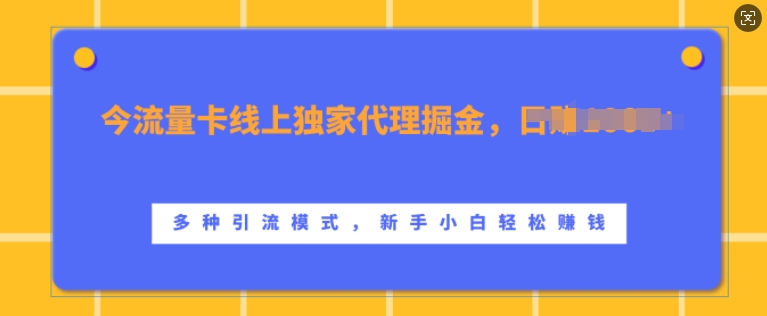 流量卡线上独家代理掘金，日入1k+ ，多种引流模式，新手小白轻松上手【揭秘】-揽颜居工坊