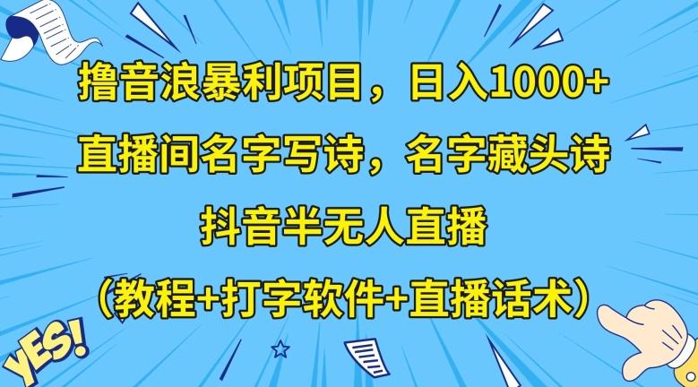 撸音浪暴利项目，日入1000+，直播间名字写诗，名字藏头诗，抖音半无人直播（教程+打字软件+直播话术）【揭秘】-揽颜居工坊