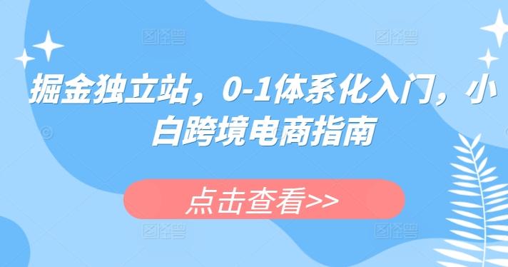 掘金独立站，0-1体系化入门，小白跨境电商指南-揽颜居工坊