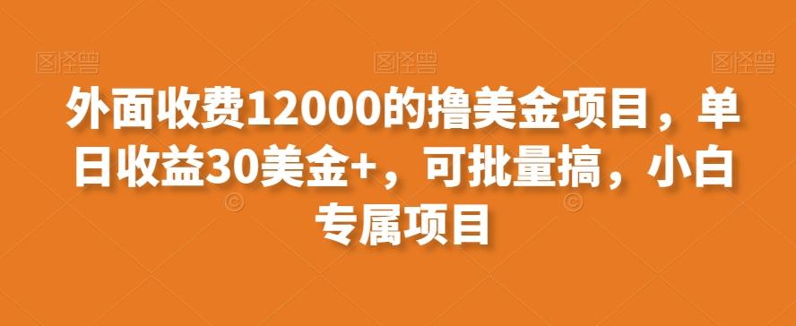 外面收费12000的撸美金项目，单日收益30美金+，可批量搞，小白专属项目-揽颜居工坊