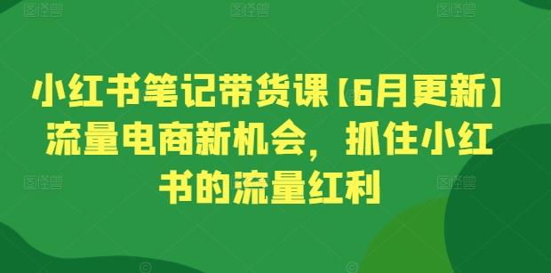 小红书笔记带货课【6月更新】流量电商新机会，抓住小红书的流量红利-揽颜居工坊