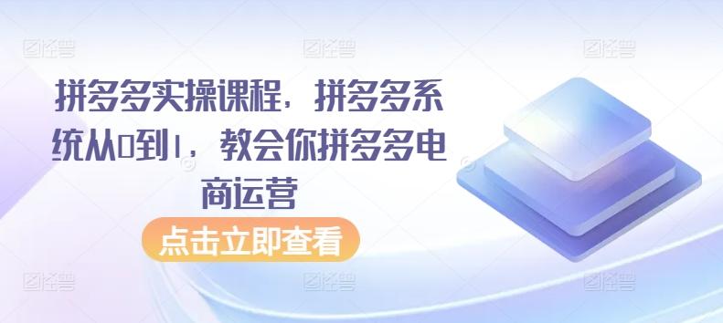 拼多多实操课程，拼多多系统从0到1，教会你拼多多电商运营-揽颜居工坊
