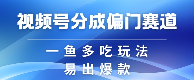 视频号创作者分成计划偏门类目,容易爆流,实拍内容简单易做【揭秘】-揽颜居工坊
