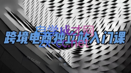 团长·跨境电商独立站入门课(2小时精华)-揽颜居工坊