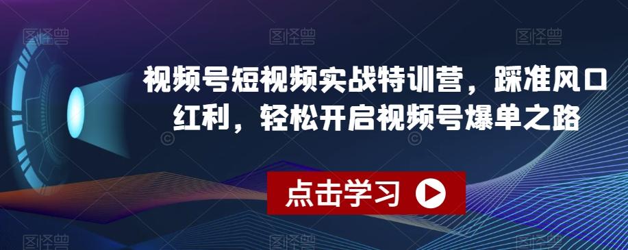 视频号短视频实战特训营，踩准风口红利，轻松开启视频号爆单之路-揽颜居工坊