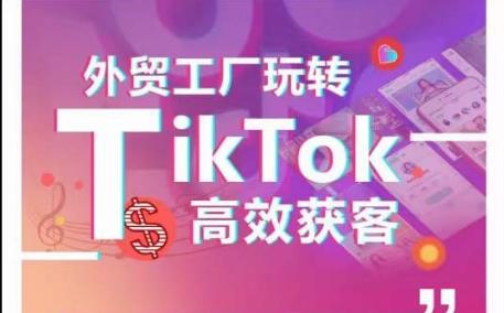 外贸工厂玩转TikTok高效获客，多种引流方式与账号定位技巧，拆解爆款短视频打造成功案例-揽颜居工坊