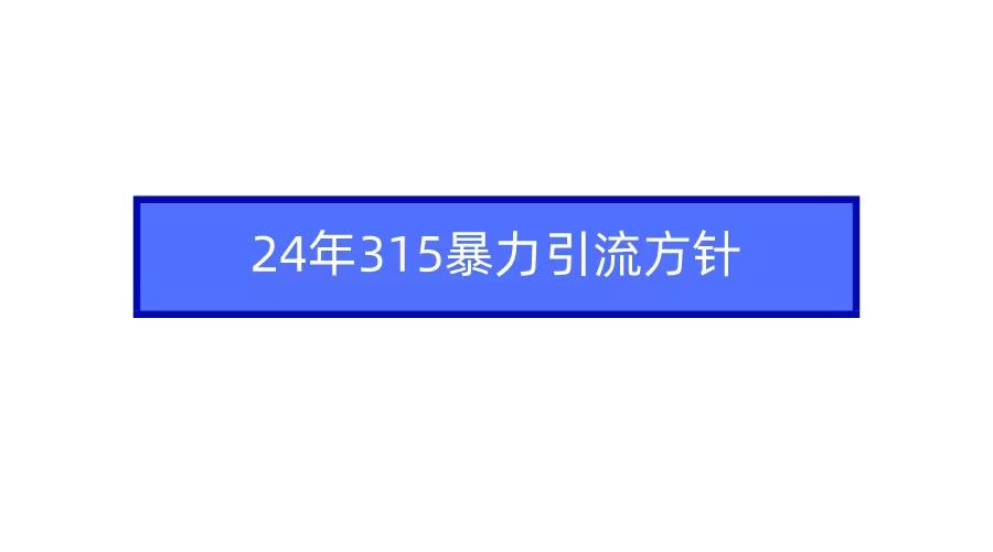 (9398期)2024年315暴力引流方针-揽颜居工坊