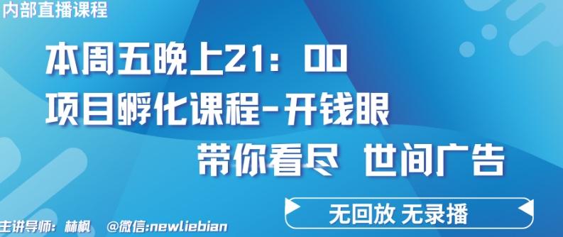 4.26日内部回放课程《项目孵化-开钱眼》赚钱的底层逻辑【揭秘】-揽颜居工坊