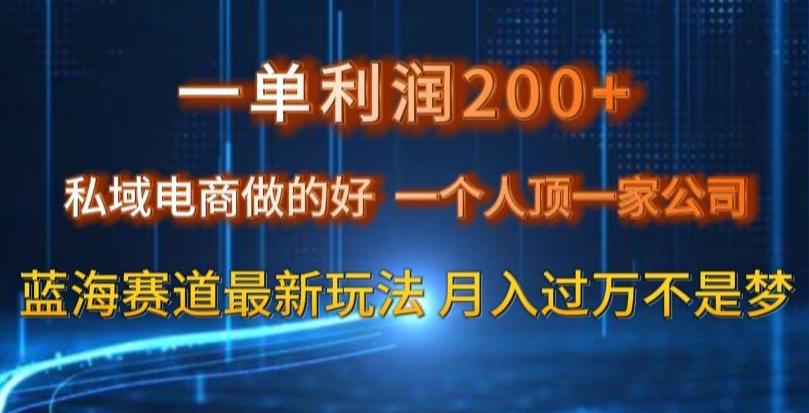 一单利润200私域电商做的好，一个人顶一家公司蓝海赛道最新玩法【揭秘】-揽颜居工坊