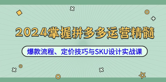 2024掌握拼多多运营精髓：爆款流程、定价技巧与SKU设计实战课-揽颜居工坊