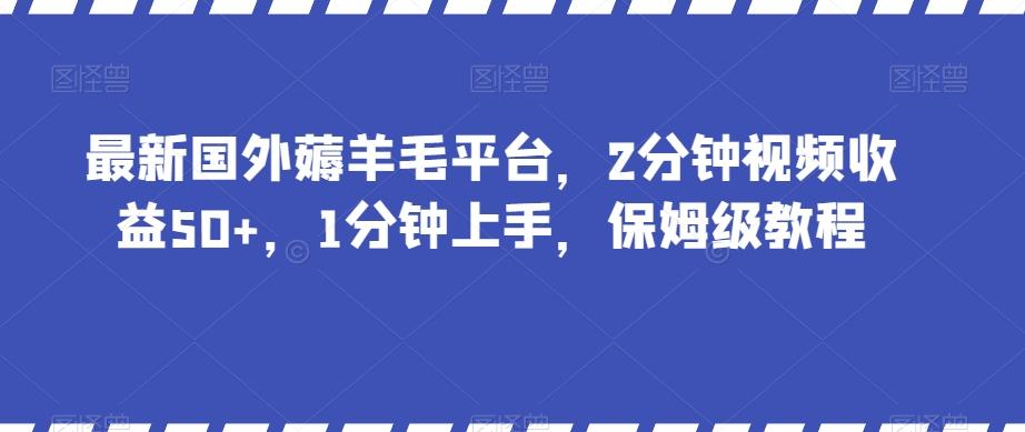 最新国外薅羊毛平台，2分钟视频收益50+，1分钟上手，保姆级教程【揭秘】-揽颜居工坊
