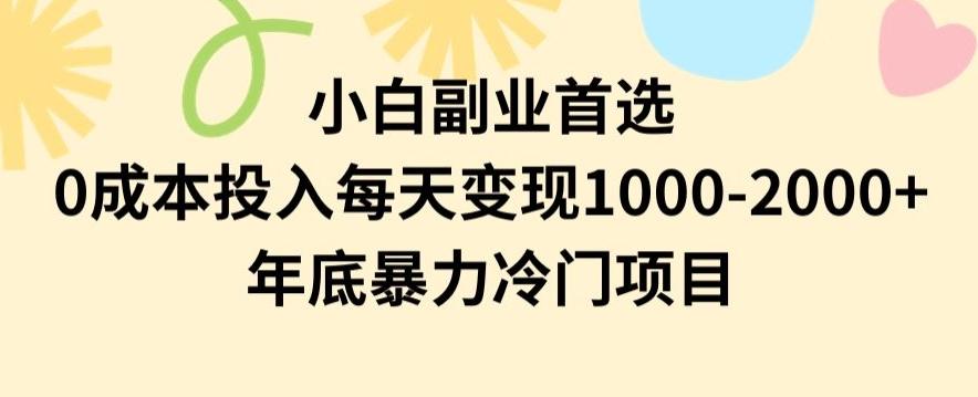 小白副业首选，0成本投入，每天变现1000-2000年底暴力冷门项目【揭秘】-揽颜居工坊
