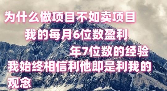 做项目不如卖项目，每月6位数盈利，年7位数经验-揽颜居工坊