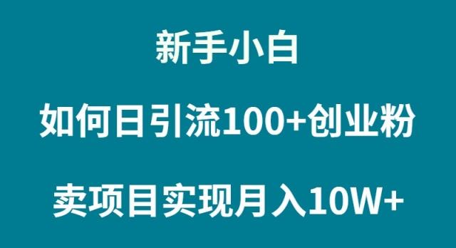 (9556期)新手小白如何通过卖项目实现月入10W+-揽颜居工坊