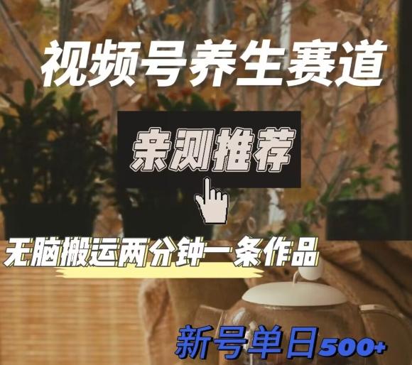 视频号养生赛道暴力掘金，无脑搬运，两分钟一条作品-新日单入500+-揽颜居工坊