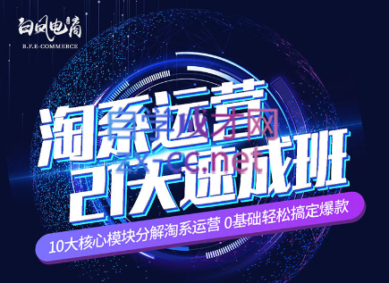 淘系运营21天速成班(更新24年6月)-揽颜居工坊