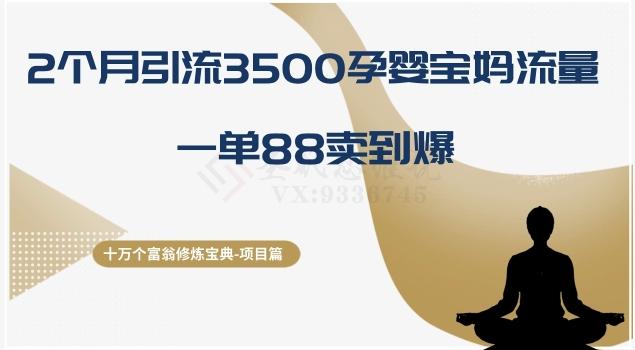 十万个富翁修炼宝典之13.2个月引流3500孕婴宝妈流量，一单88卖到爆-揽颜居工坊